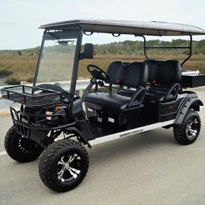 Street Legal Golf Carts Gallery Image #13