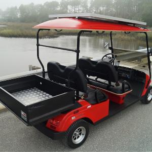 Golf Carts Image #11