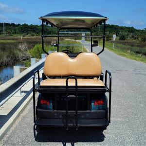 Golf Carts Image #16