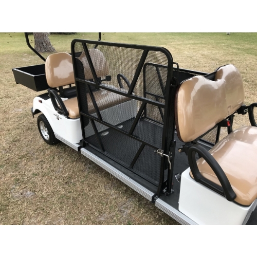 Manual Ramp Install- Wheelchair Golf Cart - Photo 1