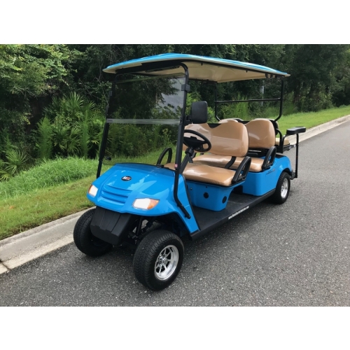 Custom Paint Job- Golf Cart - Photo 3