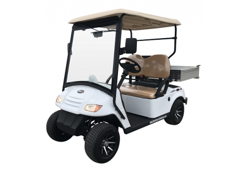 Street Legal Golf Carts from Moto Electric Vehicles