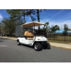 MotoEV 2 Passenger Enclosed Utility Deluxe Golf Cart image 9