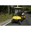 MotoEV Electro Neighborhood Buddy 4 Passenger Utility Deluxe Street Legal Golf Cart image 8