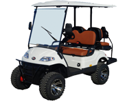 Shop Our Street Legal Golf Carts